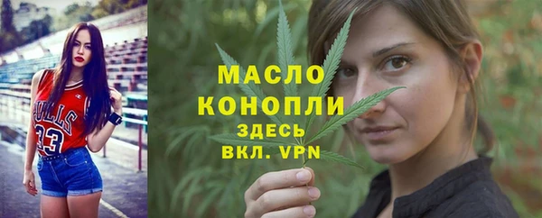 хмурый Ладушкин