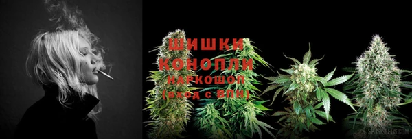 прущая мука Лагань