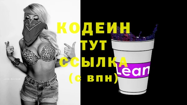 хмурый Ладушкин