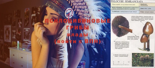 хмурый Ладушкин
