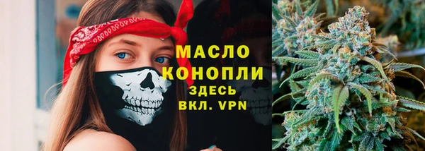 хмурый Ладушкин