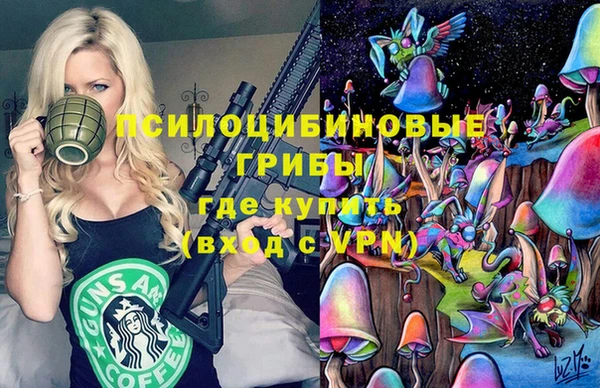 хмурый Ладушкин