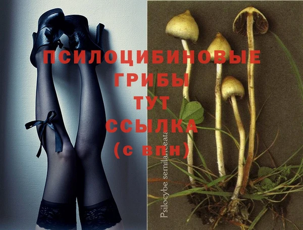 не бодяженный Лабытнанги
