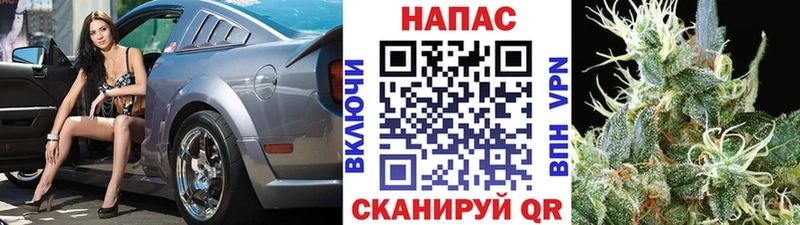 Бошки марихуана ГИДРОПОН  KRAKEN сайт  Димитровград 